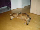 DSC01176