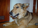 DSC01189